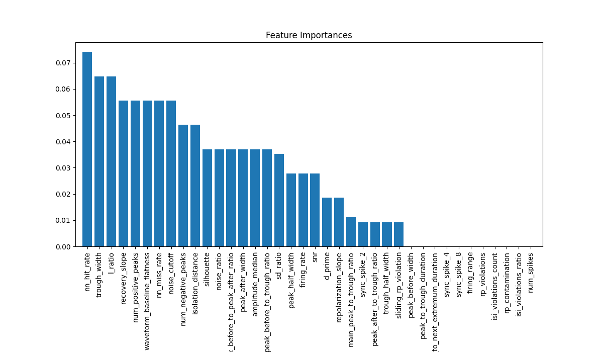 Feature Importances